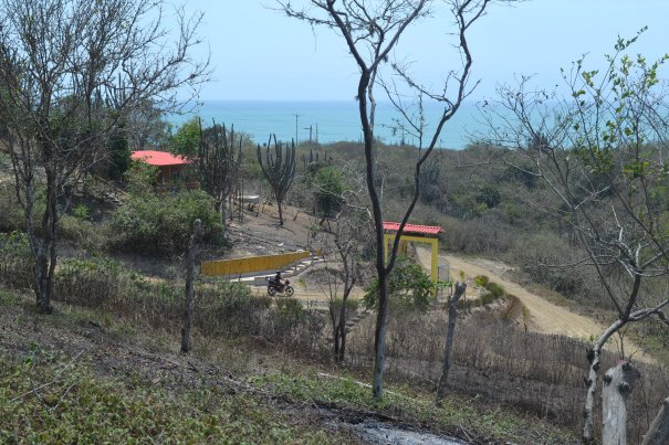 Back hill on our property